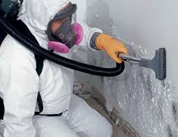 Professional Mold Removal & Remediation in Cottage Grove, MN